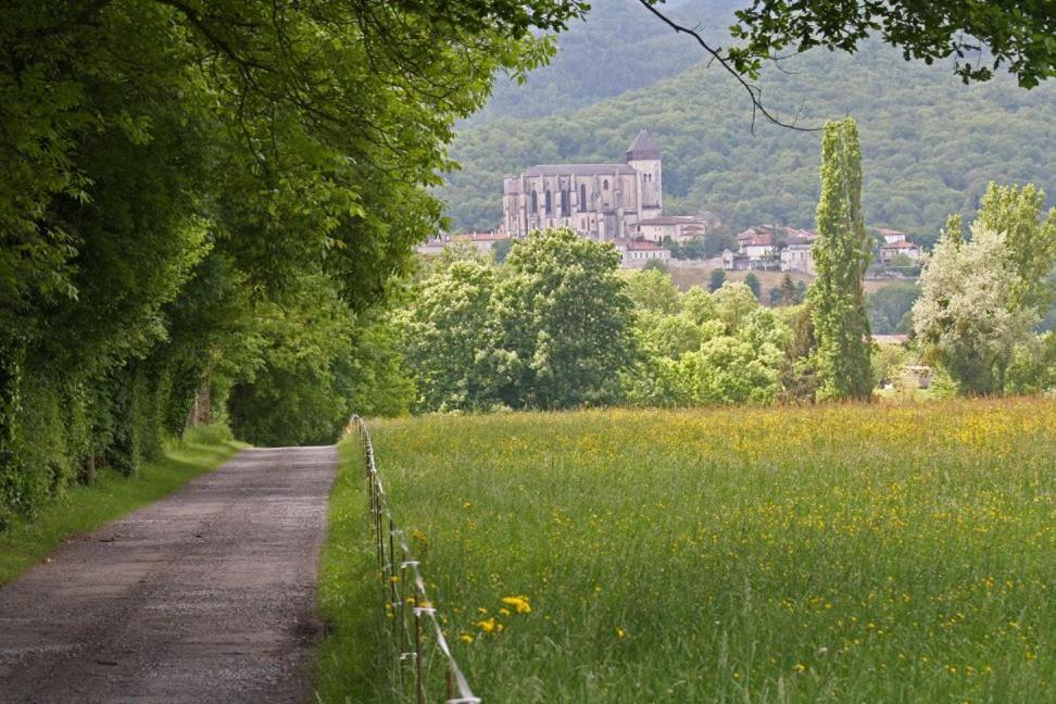 Chateau De Vidaussan Labroquère Kültér fotó